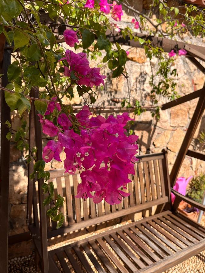 Kaleici Hotel Анталия Екстериор снимка