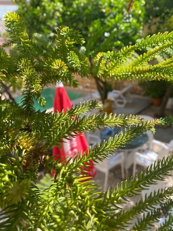 Kaleici Hotel Анталия Екстериор снимка