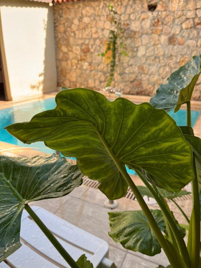 Kaleici Hotel Анталия Екстериор снимка